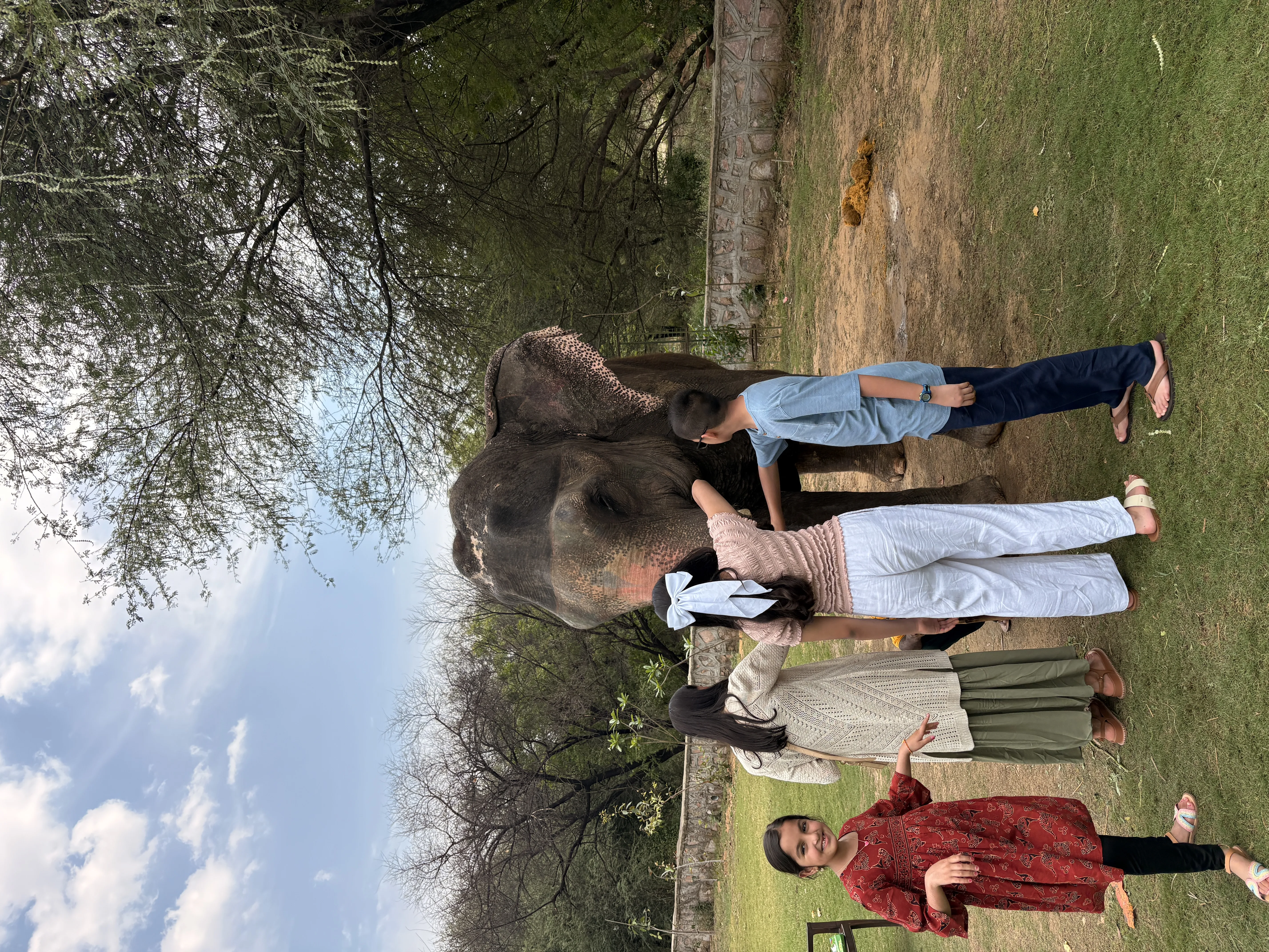 Elephant Sanctuary Experience